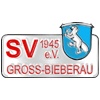 Wappen / Logo des Teams JSG Bieberau/ Spachbr. 2