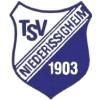 Wappen / Logo des Teams TSV Niederissigheim AH