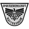Wappen / Logo des Teams SG DJK Hattersheim