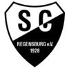 Wappen / Logo des Teams SC Regensburg