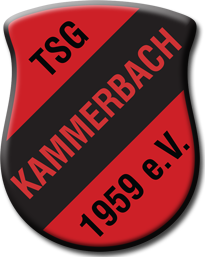 Wappen / Logo des Teams TSG Kammerbach