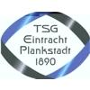 Wappen / Logo des Teams TSG/Eintracht Plankstadt 4