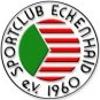 Wappen / Logo des Teams SG Eckenhaid / Brand 2