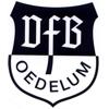 Wappen / Logo des Teams JSG Oedelum/Nettlingen