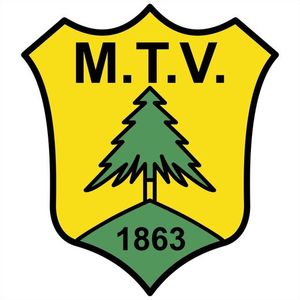 Wappen / Logo des Teams MTV Dannenb. U15 Mst9