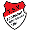 Wappen / Logo des Teams TSV Eintracht Obershagen