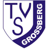 Wappen / Logo des Teams TSV Grossberg 3