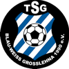 Wappen / Logo des Vereins TSG Blau-Wei Grolehna