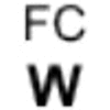Wappen / Logo des Teams FC Wenigumstadt 2