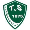 Wappen / Logo des Teams Tus 1875 Groschirma 2