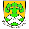 Wappen / Logo des Teams SpG Neustadt / Grnbach - Falkenstein