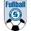 Wappen / Logo des Vereins SV Schopfheim