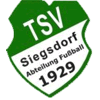 Wappen / Logo des Teams SG Siegsdorf/Bergen