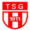 Wappen / Logo des Vereins TSG Fub. Herdecke 1911