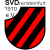 Wappen / Logo des Teams SV Drensteinfurt AH 2