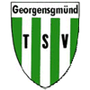 Wappen / Logo des Vereins TSV Georgensgmnd