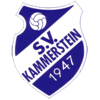 Wappen / Logo des Vereins SV Kammerstein