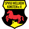 Wappen / Logo des Vereins SpVgg Wellheim