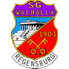 Wappen / Logo des Vereins SG Walhalla Regensburg
