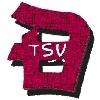 Wappen / Logo des Teams TSV Deizisau Kn 4