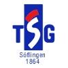 Wappen / Logo des Teams TSG Sflingen