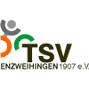 Wappen / Logo des Teams TSV Enzweihingen