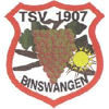 Wappen / Logo des Vereins TSV Binswangen