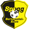 Wappen / Logo des Teams JSG Mittelmosel Burgen