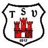 Wappen / Logo des Teams TSV 1847 Weilheim 3