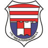 Wappen / Logo des Teams FC Elfershausen