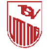 Wappen / Logo des Vereins TSV Utting a. Ammersee