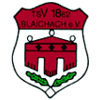 Wappen / Logo des Teams TV Hindelang, Burgberg, Blaichach