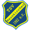 Wappen / Logo des Teams TSV Neunkirchen