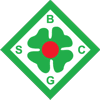 Wappen / Logo des Vereins BSC Grnhfe