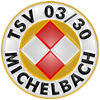 Wappen / Logo des Teams TSV Michelbach 2